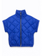 Bodywarmer Blue
